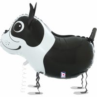 Walking balloon «BOSTON TERRIER»