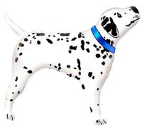 Foil balloon «Dalmatian dog», with blue collar