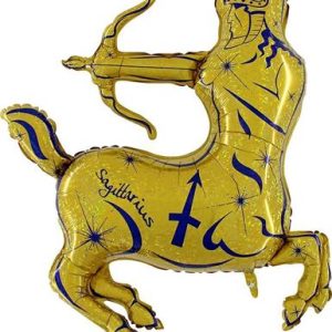 Zodiac Aquarius, blue