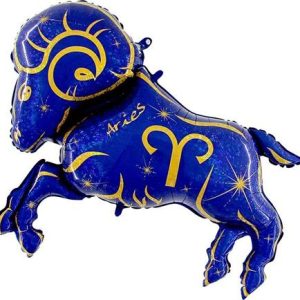 Zodiac Aquarius, blue