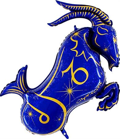 Zodiac Capricorn, blue