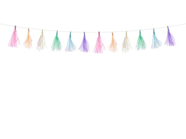 Tassel garland "COLORFUL"