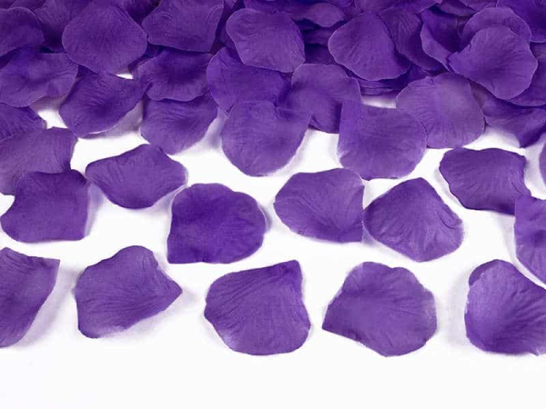 Rose petals, dark purple